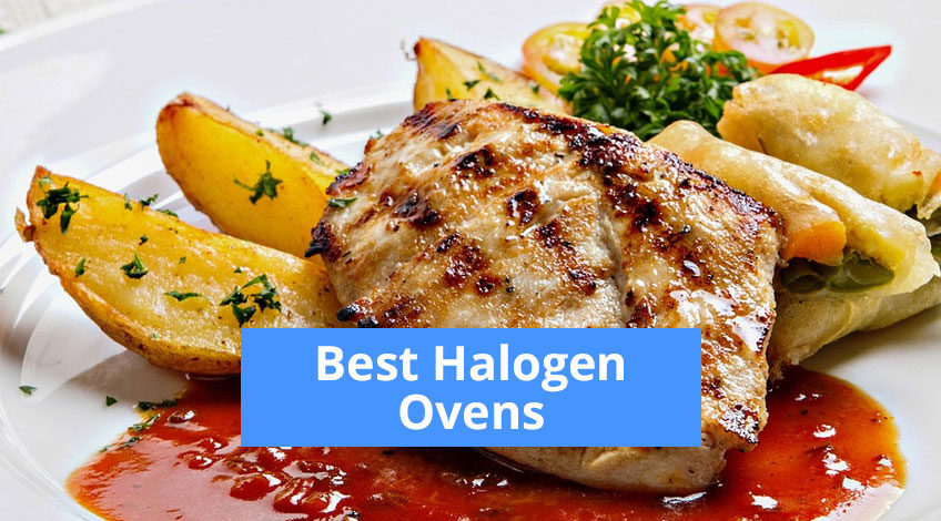 Best Halogen Ovens