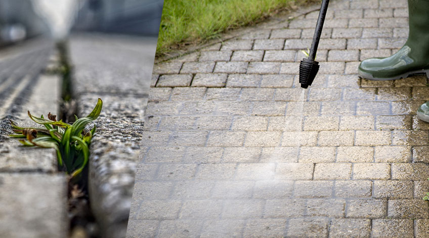 Pressure Washing Weeds