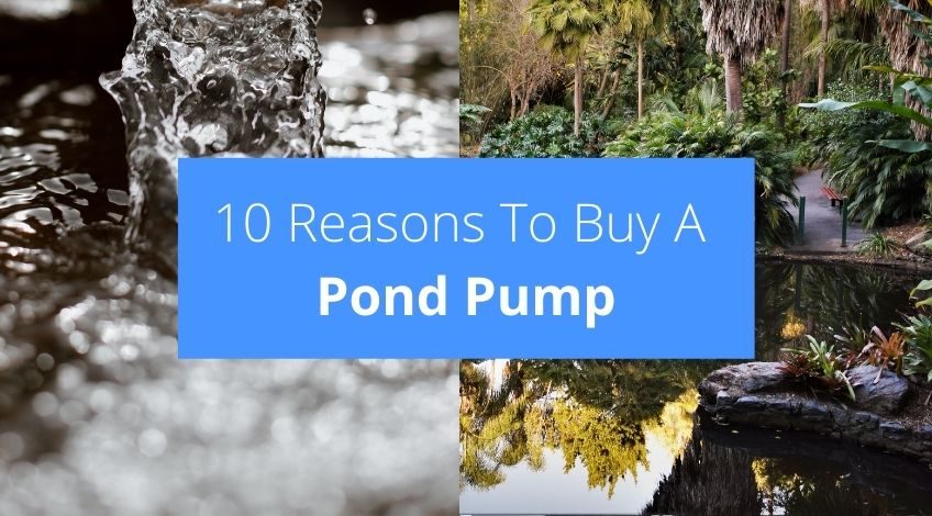 10 Reasons To Buy A Pond Pump