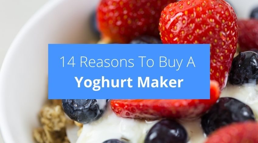 14 Reasons To Buy A Yoghurt Maker