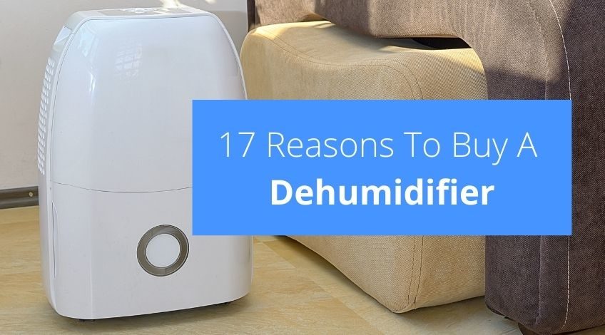17 Reasons To Buy A Dehumidifier