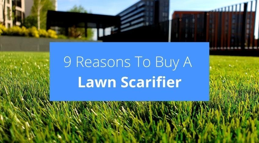 9 Reasons To Buy A Lawn Scarifier