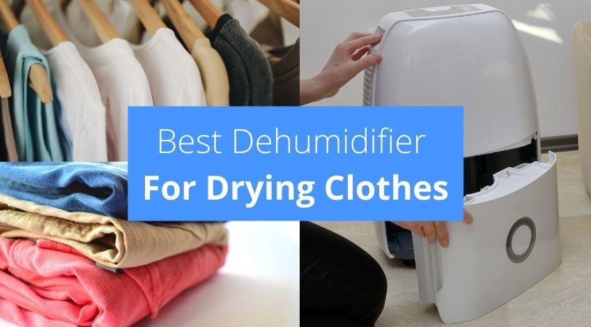Best Dehumidifier For Drying Clothes