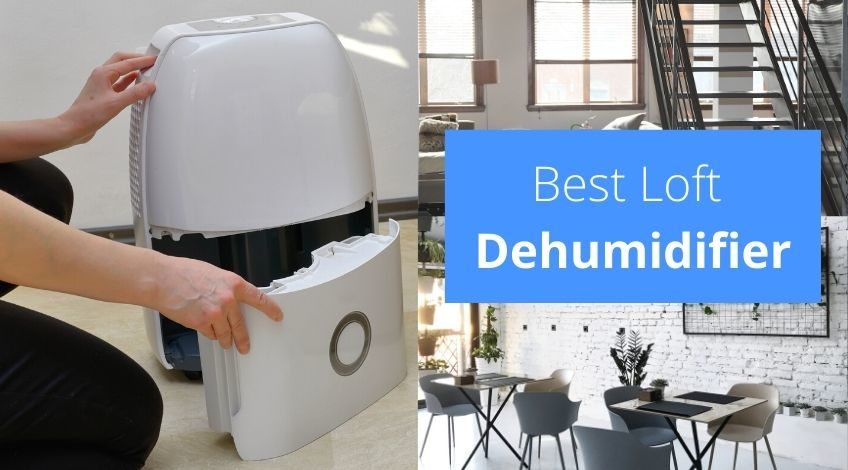 Best Dehumidifier For Loft