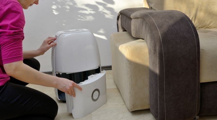 Best Dehumidifier