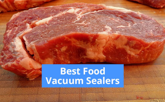 Best Food Vacuum Sealers s