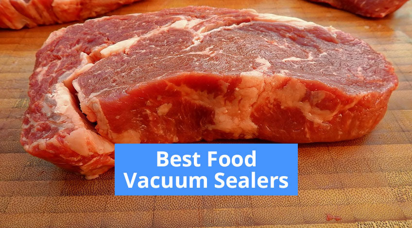 Best Food Vacuum Sealers s