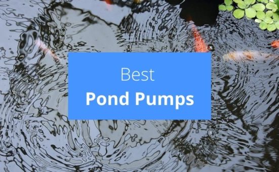 Best Pond Pumps 2024