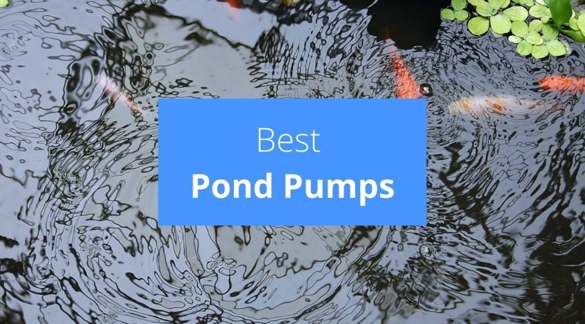 Best Pond Pumps