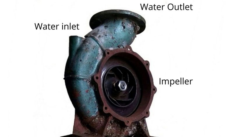 How Do Pond Pumps Work