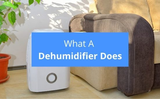 What Does A Dehumidifier Do?