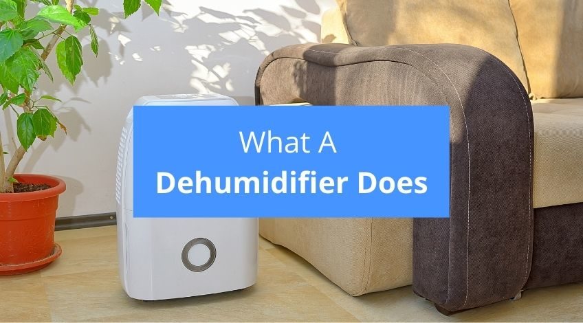 What Does A Dehumidifier Do