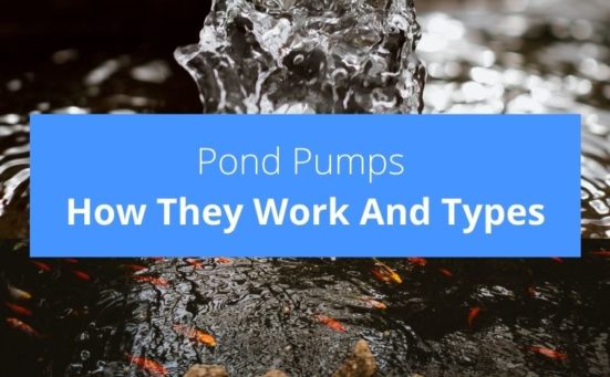 What Are Pond Pumps? How Do They Work? And What Types Are There?