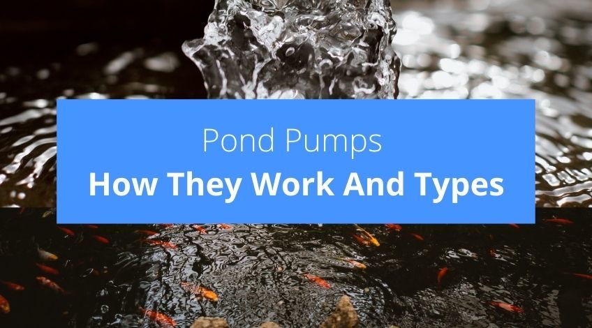 What Are Pond Pumps How Do They Work And What Types Are There