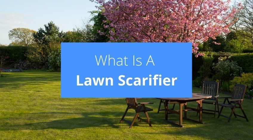 What Is A Lawn Scarifier