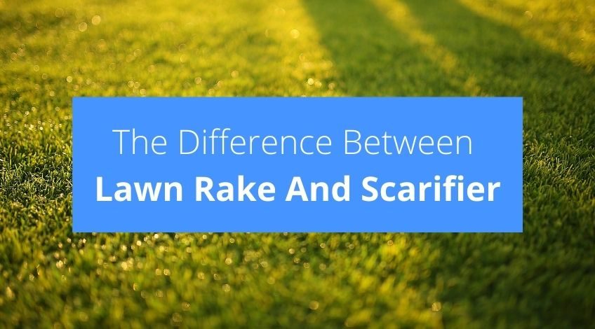 What Is The Difference Between Lawn Rake And Scarifier