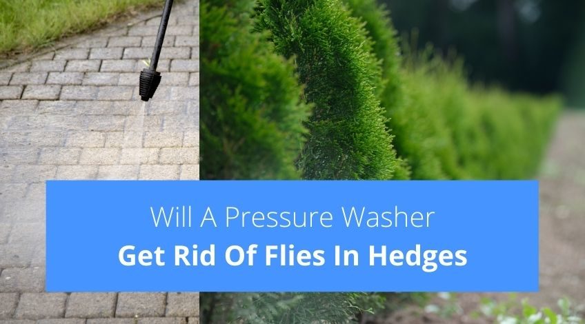 Will A Pressure Washer Get Rid Of Flies In Hedges