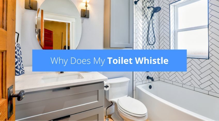 Why Does My Toilet Whistle? (and how to stop it)