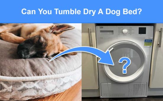 Can You Tumble Dry A Dog Bed? (expert advice)