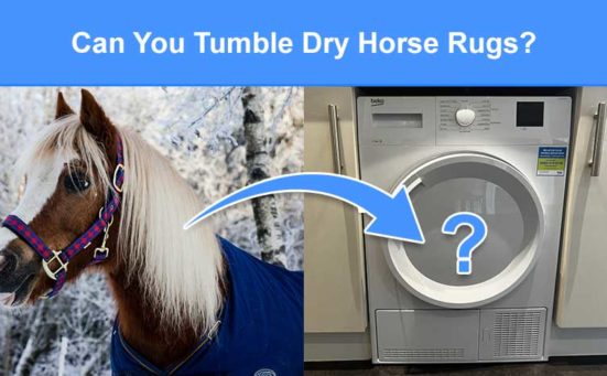 Can You Tumble Dry Horse Rugs? (what the experts say)
