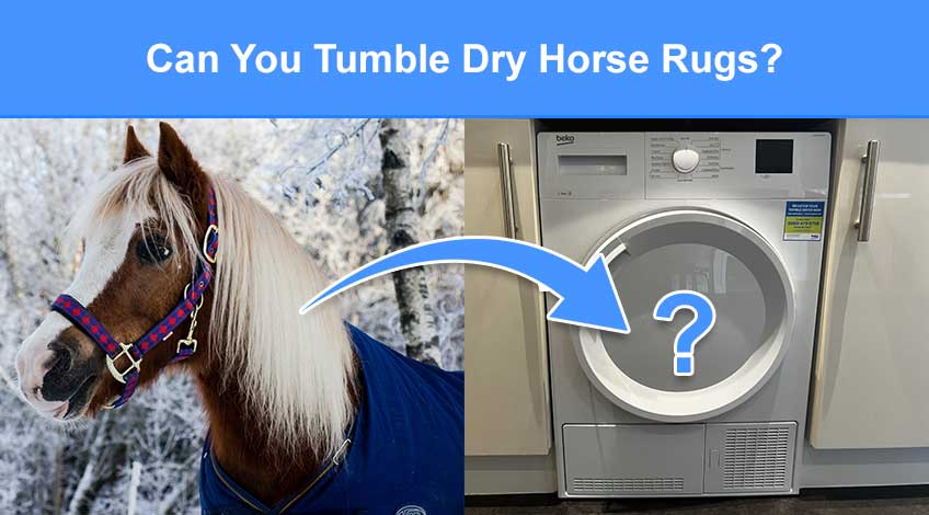 can-you-tumble-dry-horse-rugs-what-the-experts-say-check-appliance