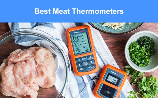 Best Meat Thermometers (top digital probes)