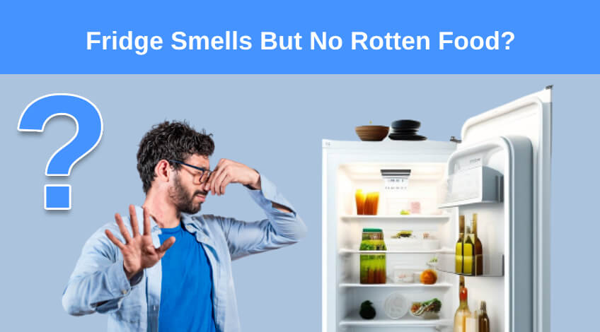 Fridge Smells But No Rotten Food