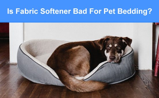 Is Fabric Softener Bad For Pet Bedding (dogs & cats)?