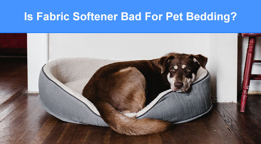 Is Fabric Softener Bad For Pet Bedding (dogs & cats)