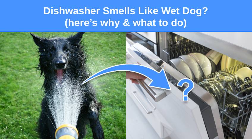 Dishwasher Smells Like Wet Dog (here’s why & what to do)