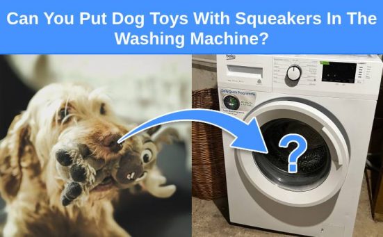 Can You Put Dog Toys With Squeakers In The Washing Machine?