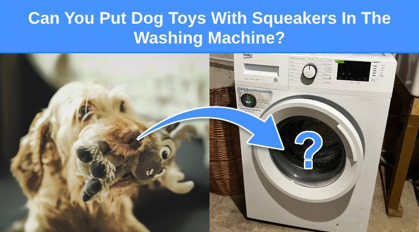 Can You Put Dog Toys With Squeakers In The Washing Machine