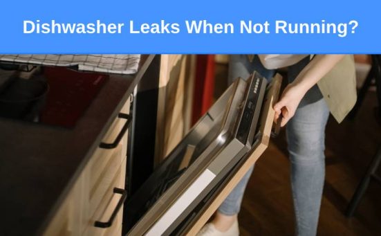 Dishwasher Leaks When Not Running? Here’s why & what to do