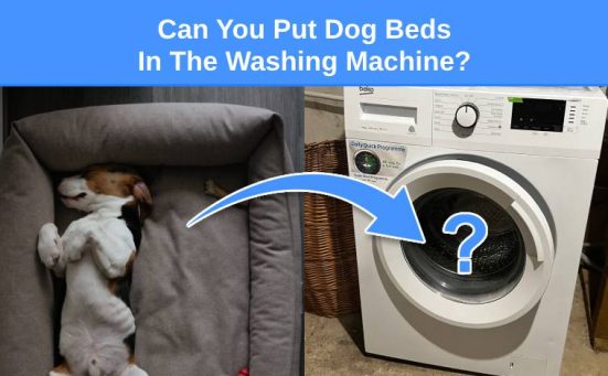 Can You Put Dog Beds In The Washing Machine?