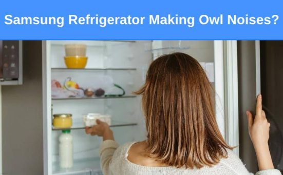 Samsung Refrigerator Making Owl Noises (how to fix)