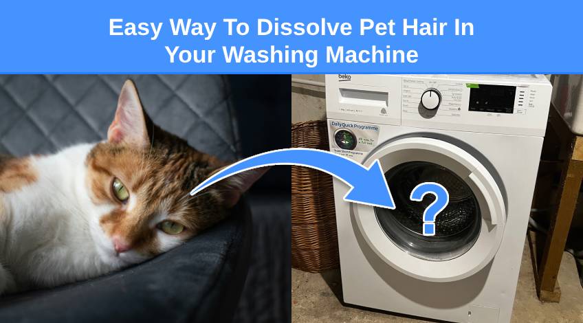 Easy Way To Dissolve Pet Hair In Your Washing Machine