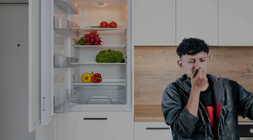 You'll Gag When You Discover What's Really Causing That Dodgy Fridge Stench!