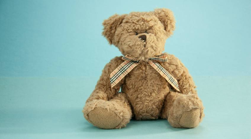 teddy bear