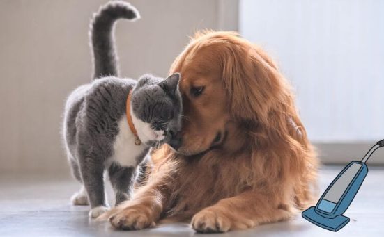 How to Keep a Clean House When You Have Dogs (or Cats!)