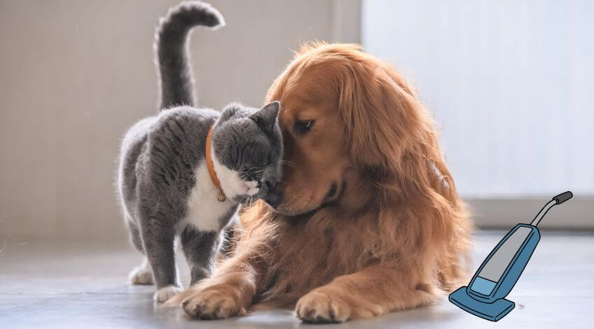 How to Keep a Clean House When You Have Dogs (or Cats!)