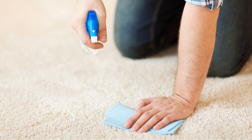 person cleaning stain on carpet with cloth