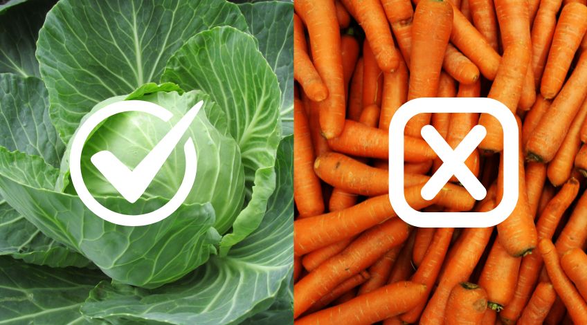 The Best (and worst) Keto Foods for Prediabetes