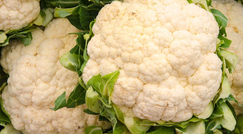 cauliflowers
