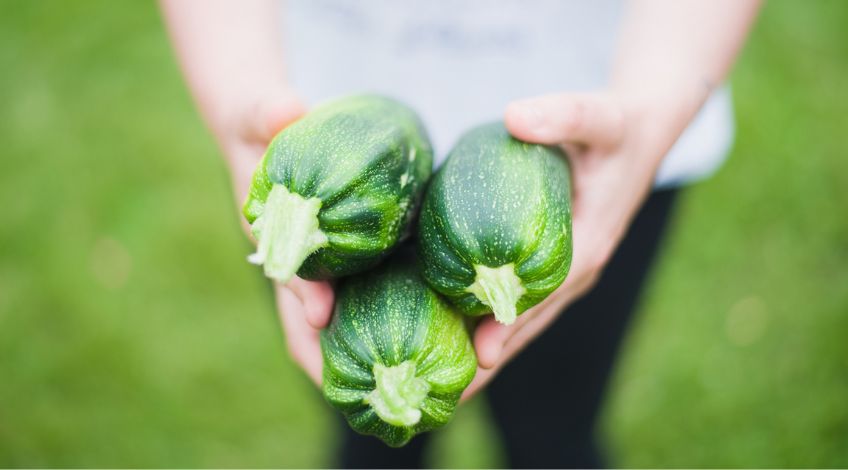 person holding zucchinis