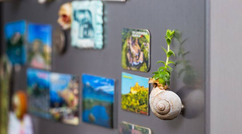 souvenir or ref magnets