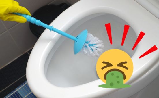 Hard Water Stains Making Your Toilet Look Gross? Here’s How to Get Rid of Them Fast!