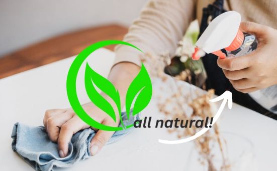 6 Easy Homemade All Natural Cleaning Sprays You’ll Love