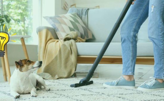 How To Effortlessly Speed Clean Your Home When You Have Pets