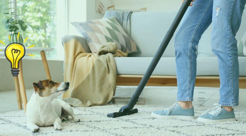 How To Effortlessly Speed Clean Your Home When You Have Pets