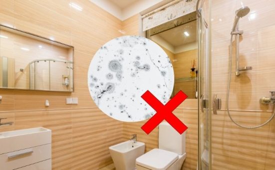 The Ultimate Guide To Removing Black Mould From Your Home